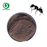 Sales! Natural Black Ant Extract